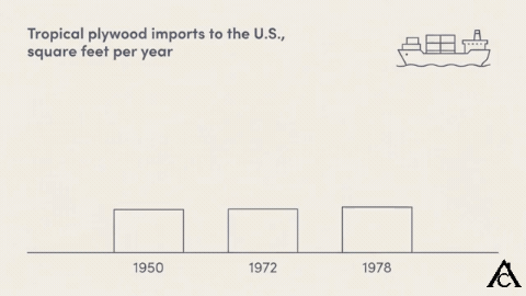 Animated bar chart of tropical plywood imports to the United States: about 12 million square feet in 1950, a peak of nearly 6.2 billion in 1972, and about 5 billion in 1978, per FAO figures.