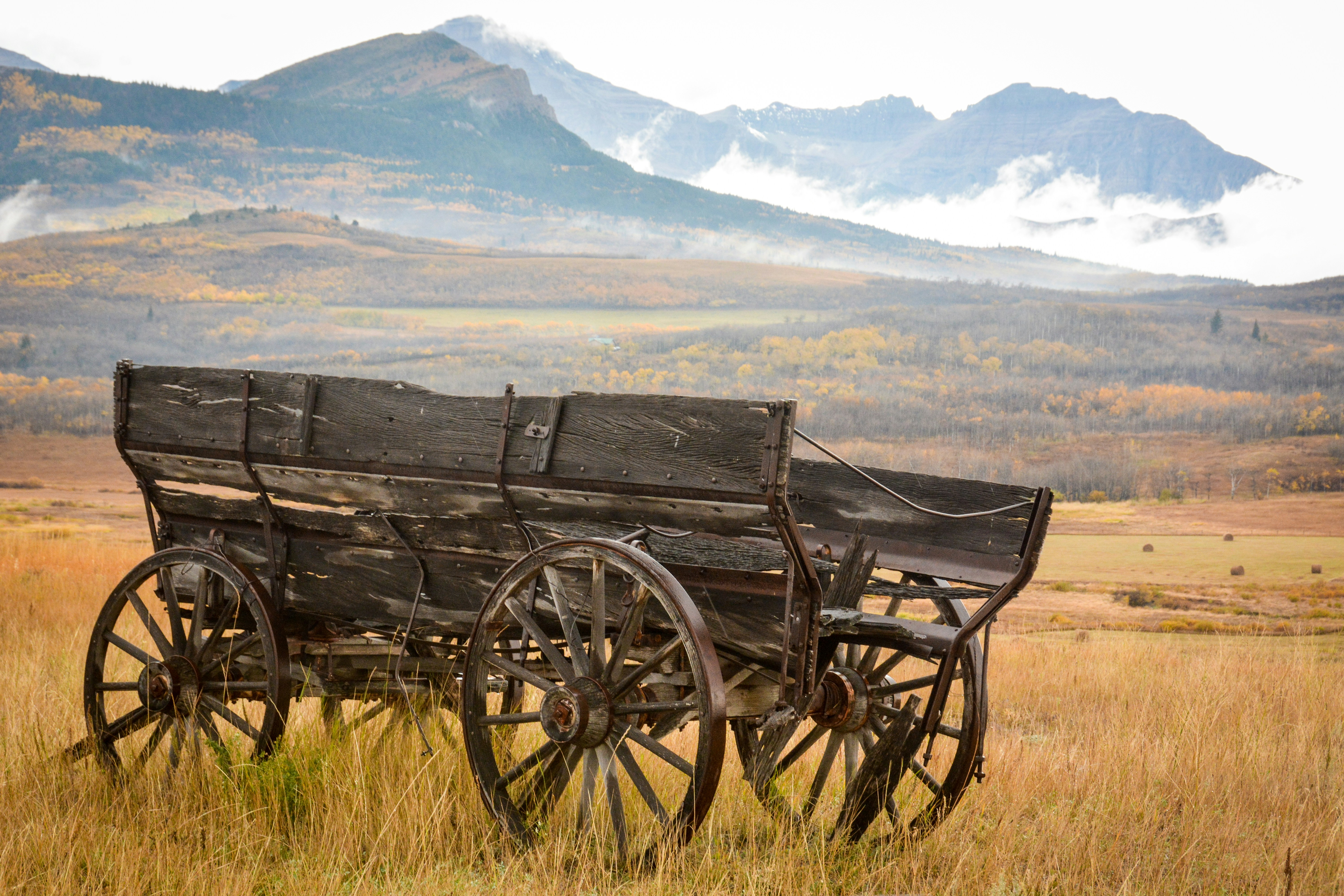 An old wagon sitting out in the weather