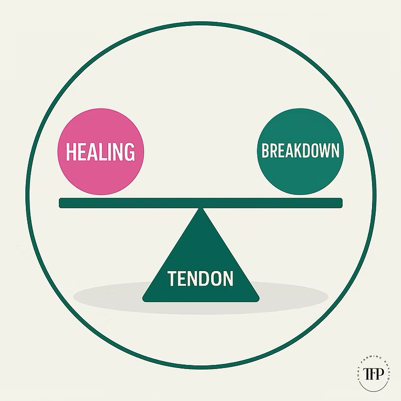 Tendon Seasaw
