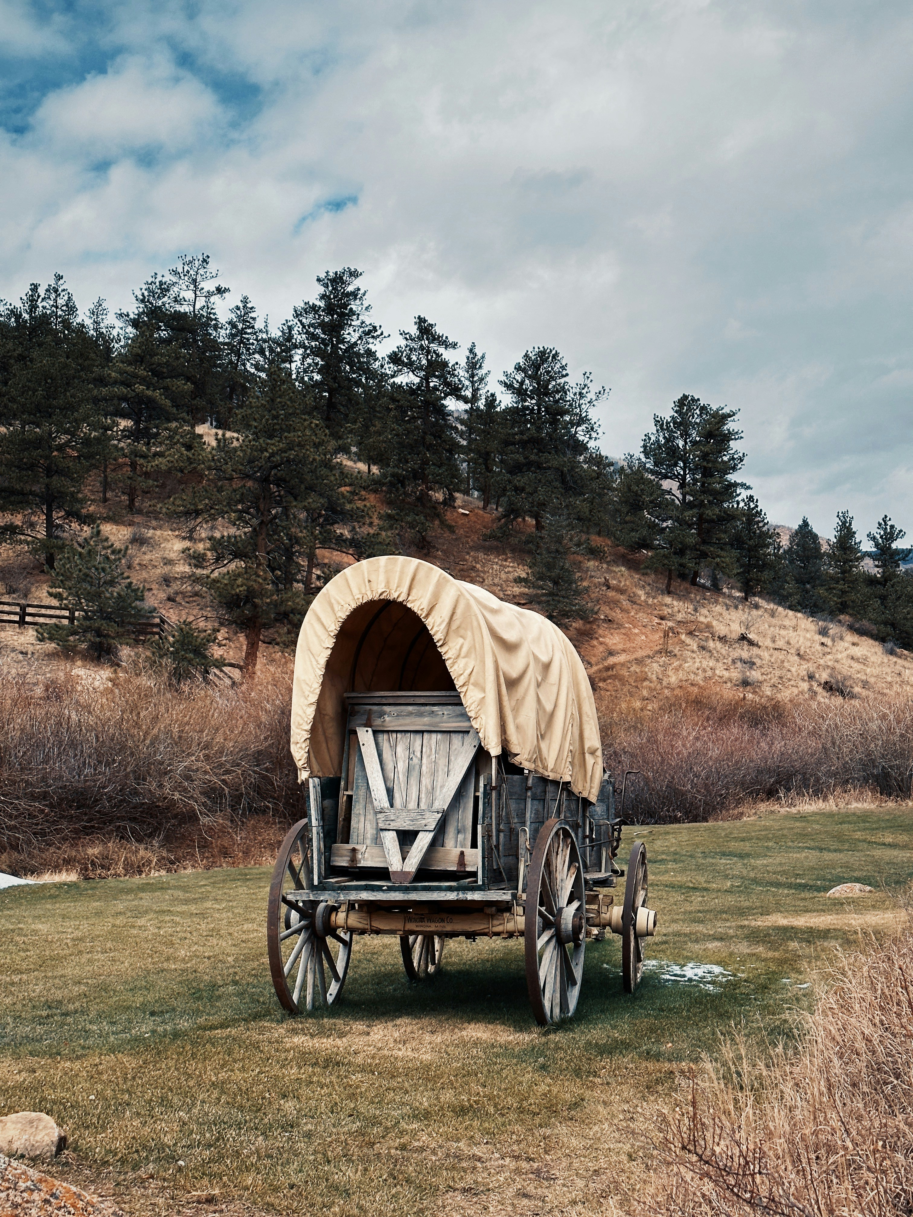 a covered wagon near some pine trees