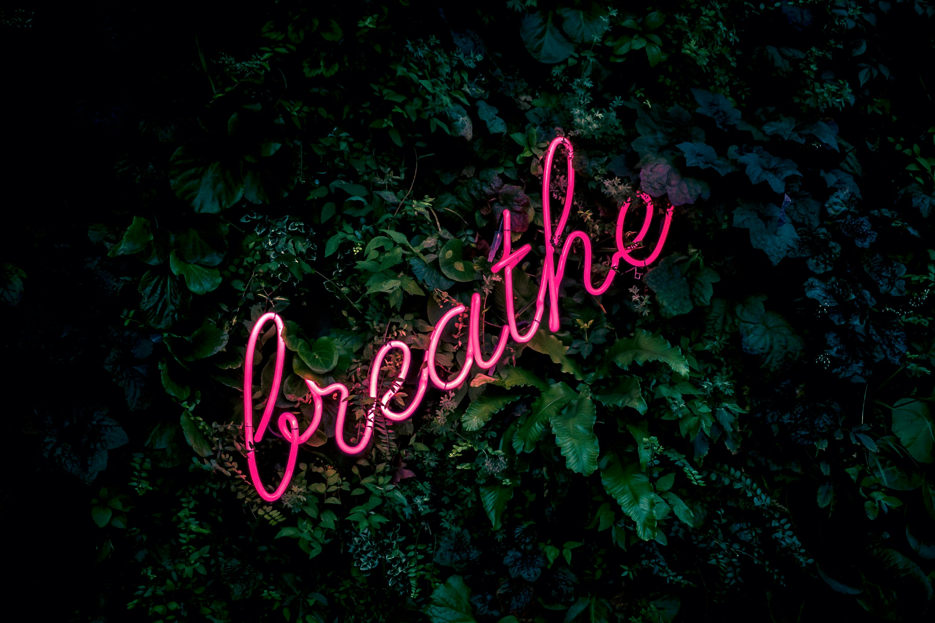 breathe in neon cursive font breathe in neon cursive font