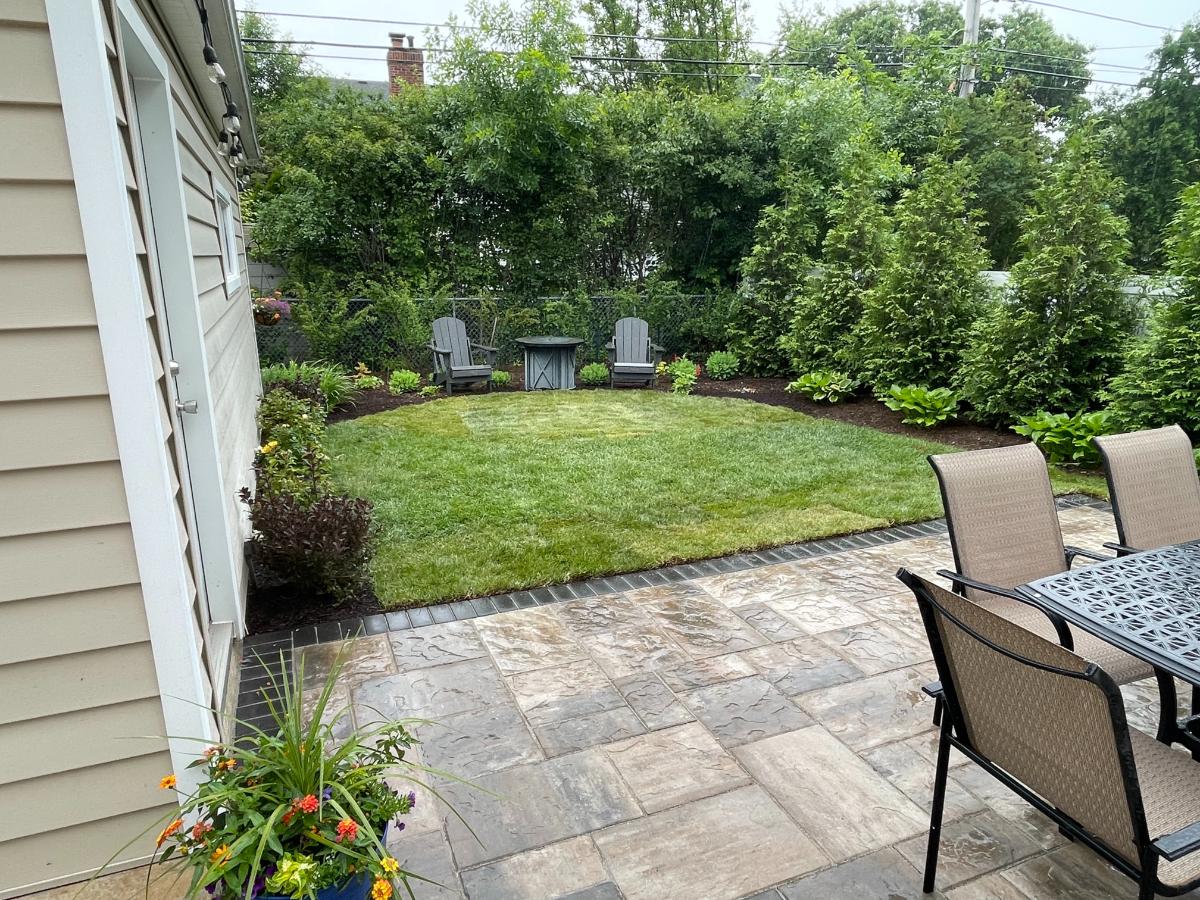 backyard tree row privacy elmhurst il backyard tree row privacy elmhurst il