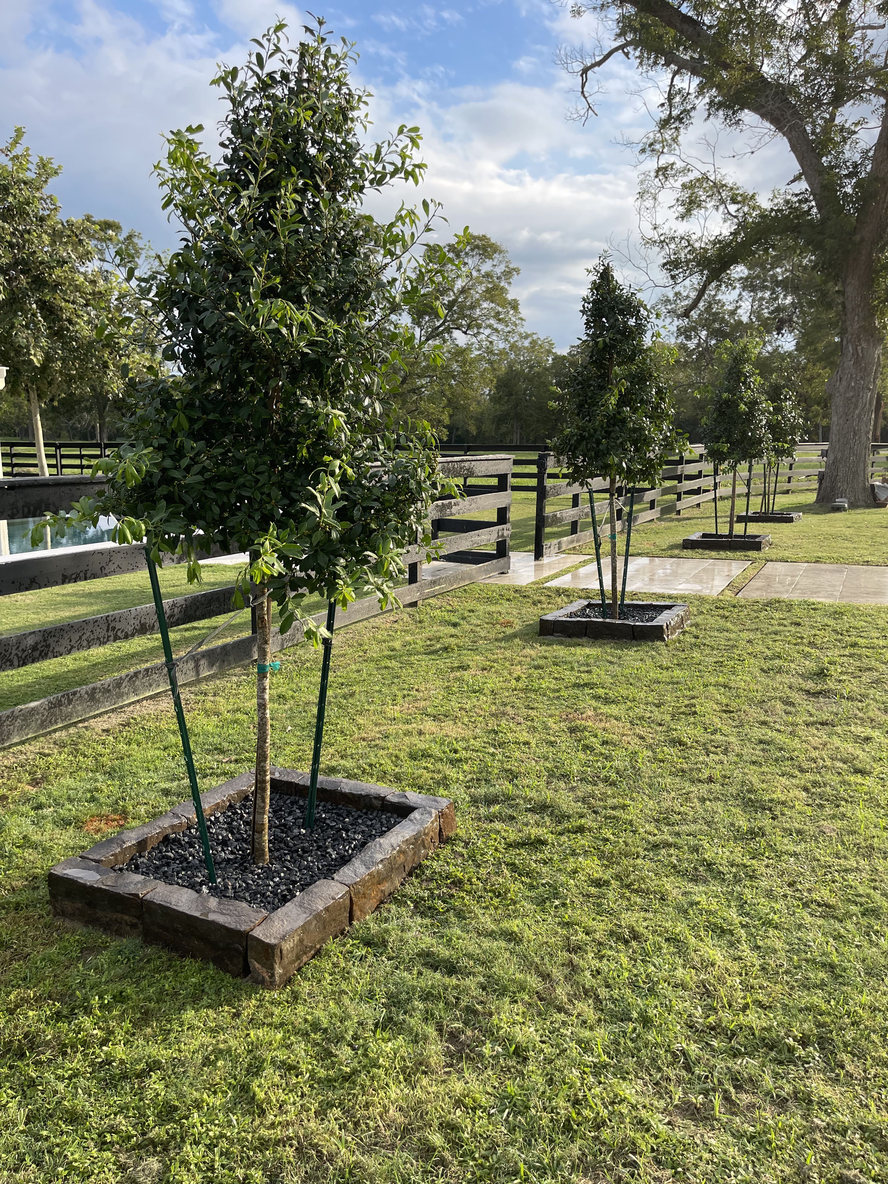 Artificial Turf Katy