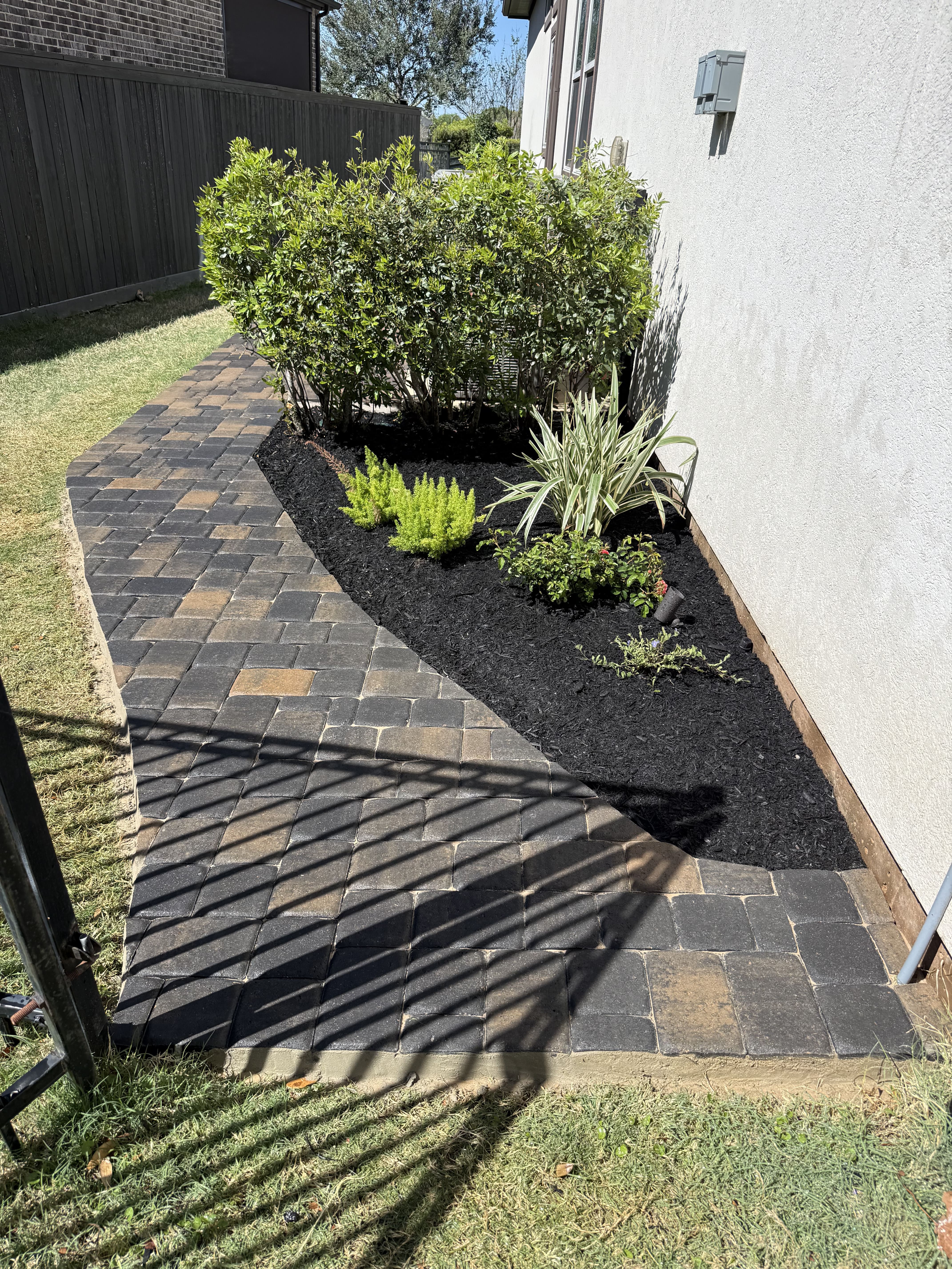 Backyard Renovation Katy