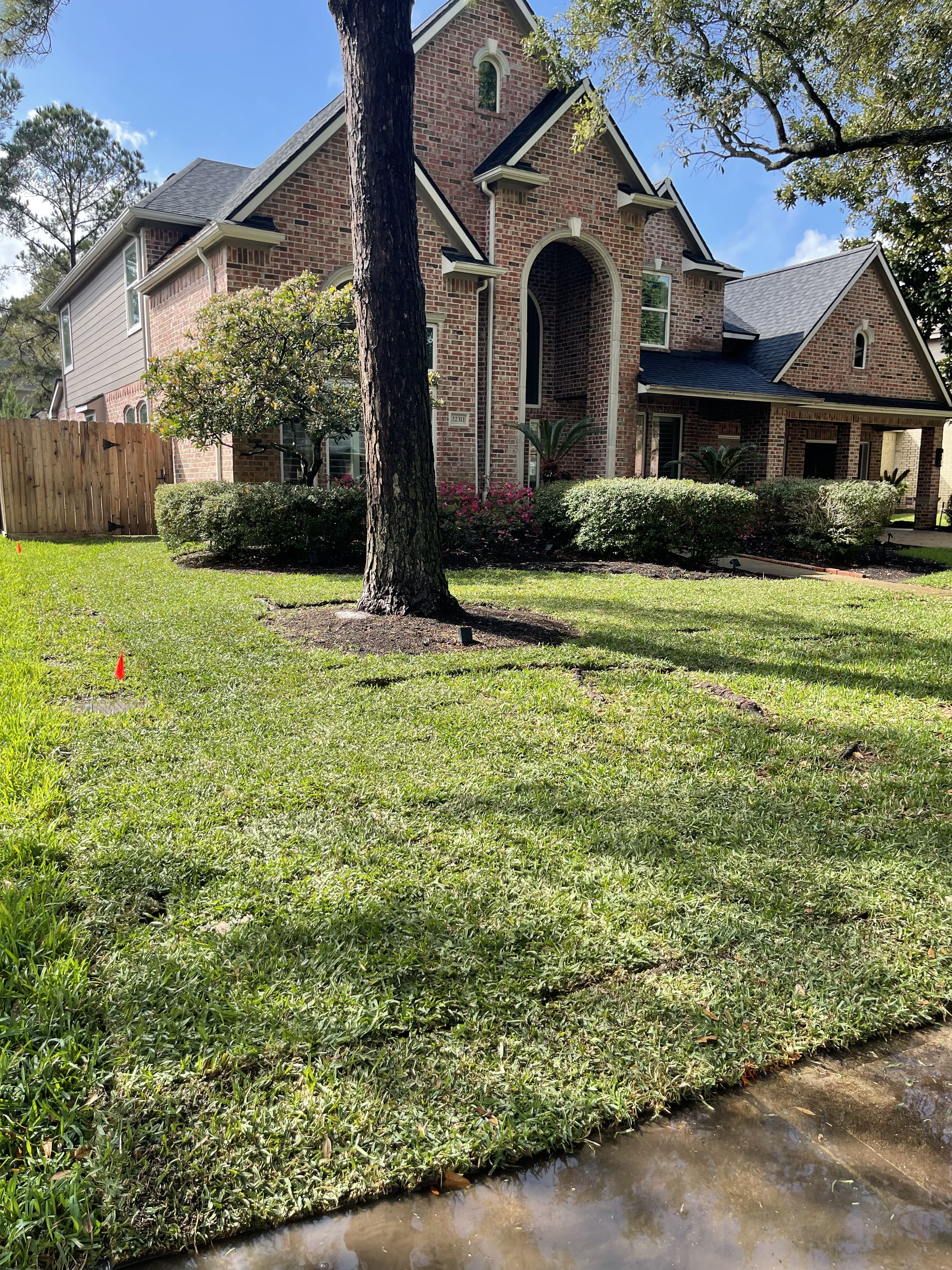 Artificial Turf Katy