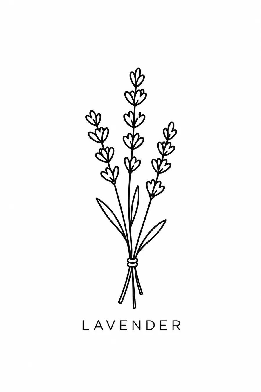 Flash tattoo design: line drawing of lavender