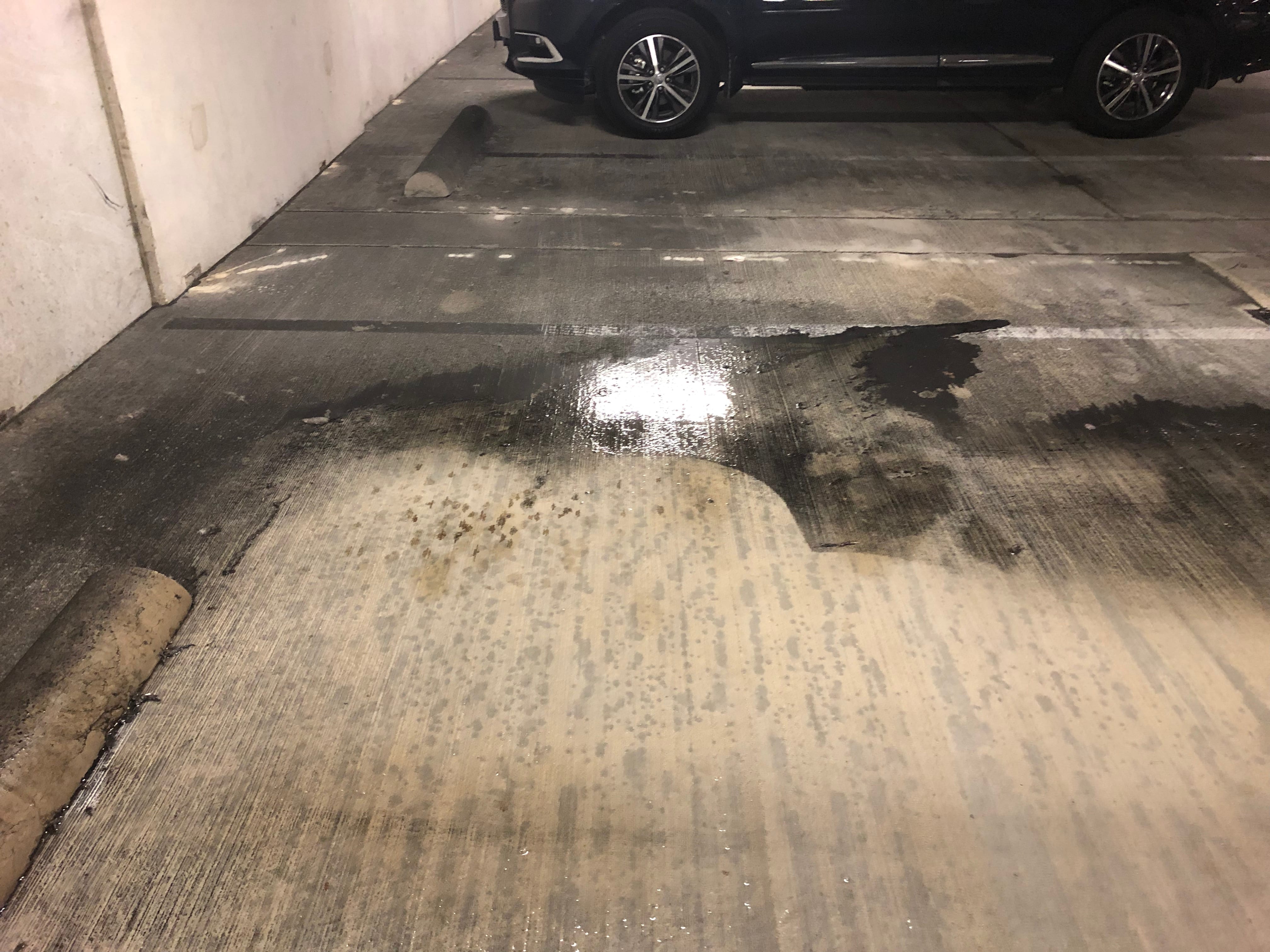 Commercial Power Washing Work 12