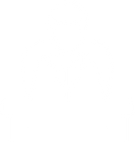 Founder Icon