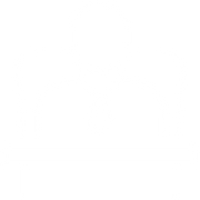 Executive Icon