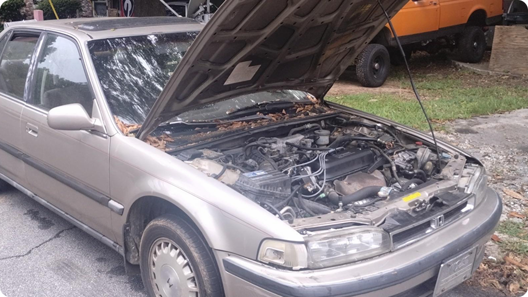 Tan 1990s Honda Accord parked with hood open showing engine and leaf debris on windshield.