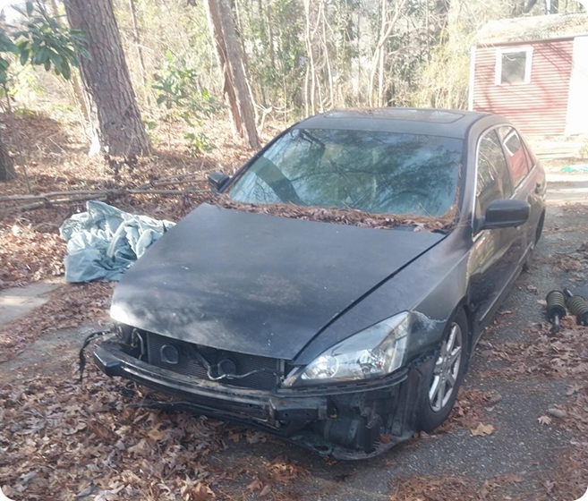 Black Honda Accord with front-end damage and missing bumper, parked in a wooded driveway covered in dry leaves.