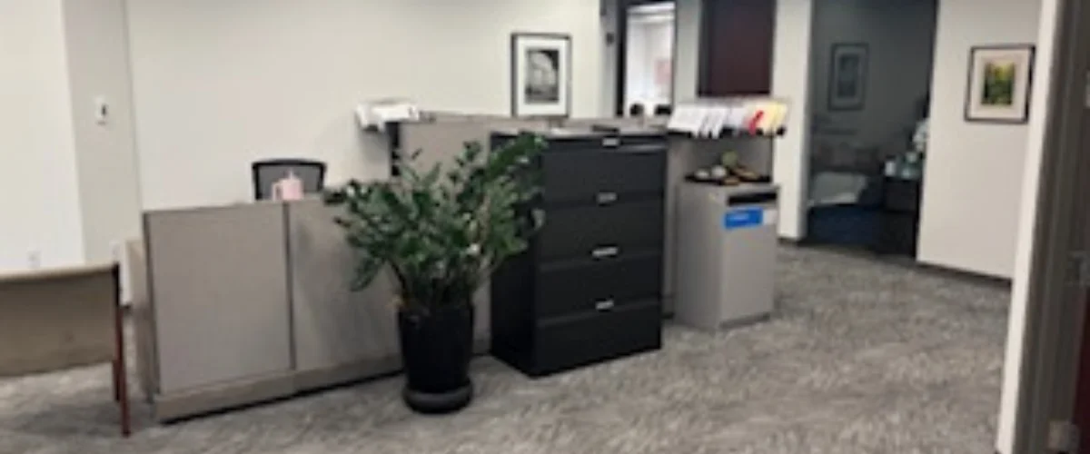 A wide shot of an office space with grey cubicles, a large green potted plant, and a black filing cabinet.