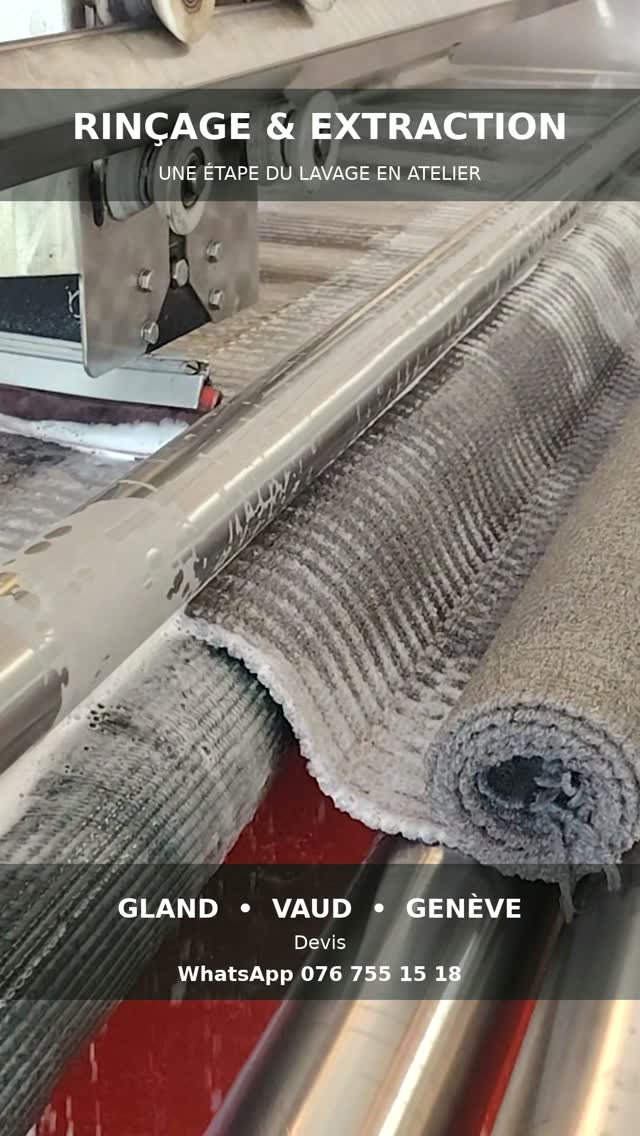 Rinçage et extraction d’un tapis dans l’atelier BipBip à Gland, extrait Instagram