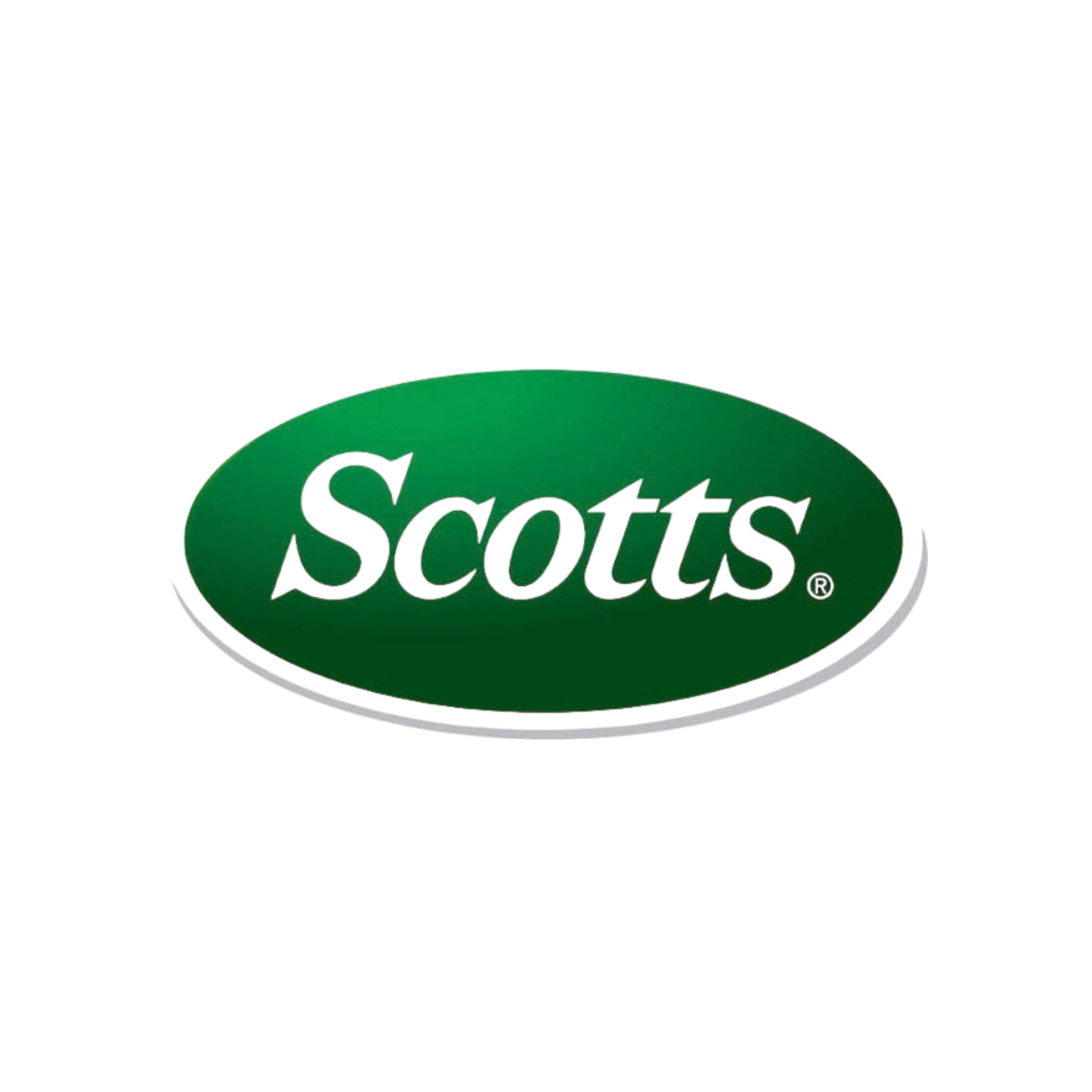 Client organization logo