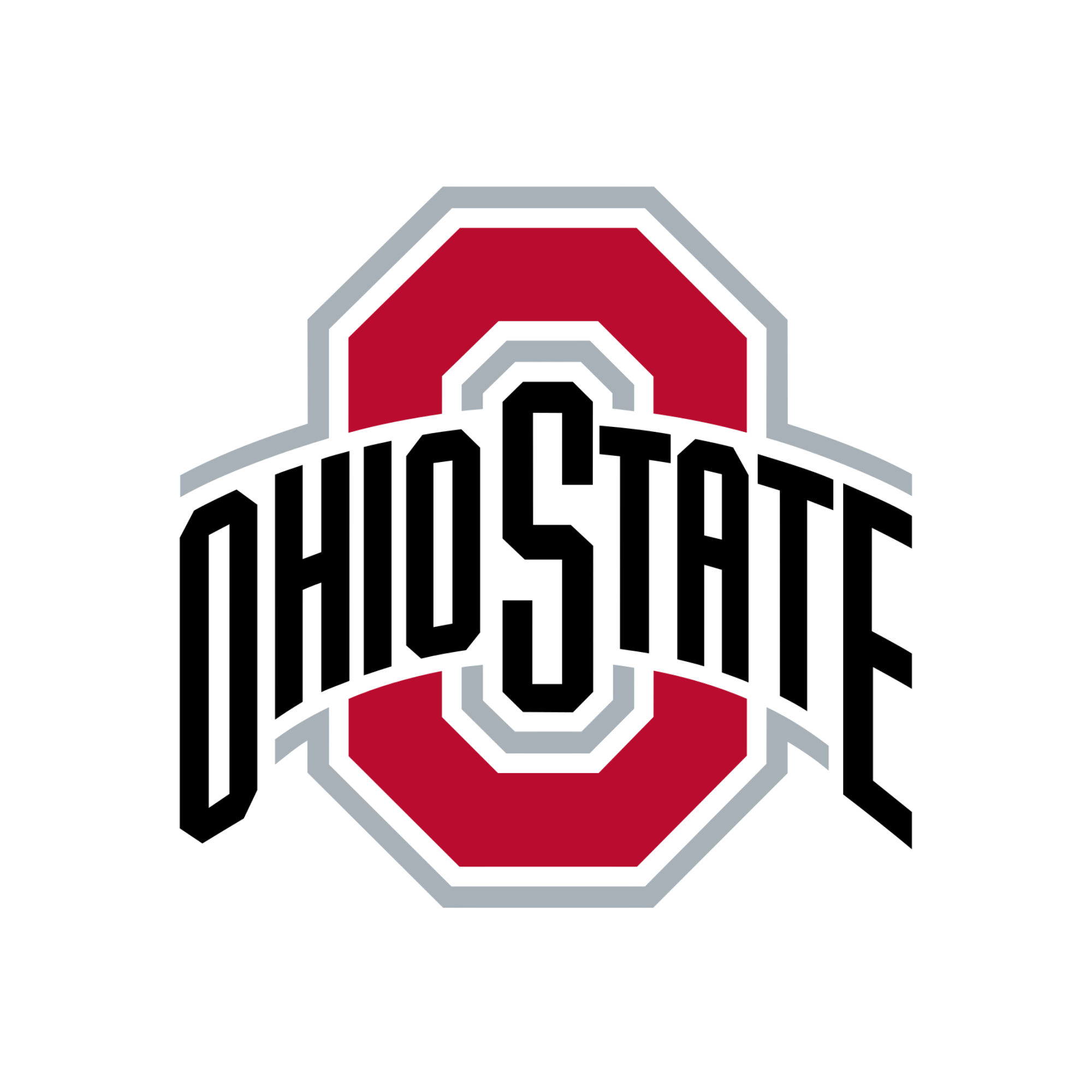 Client organization logo