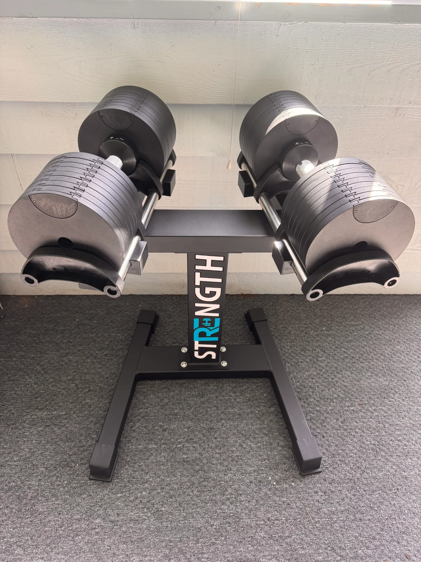 Adjustable dumbbells on a rack