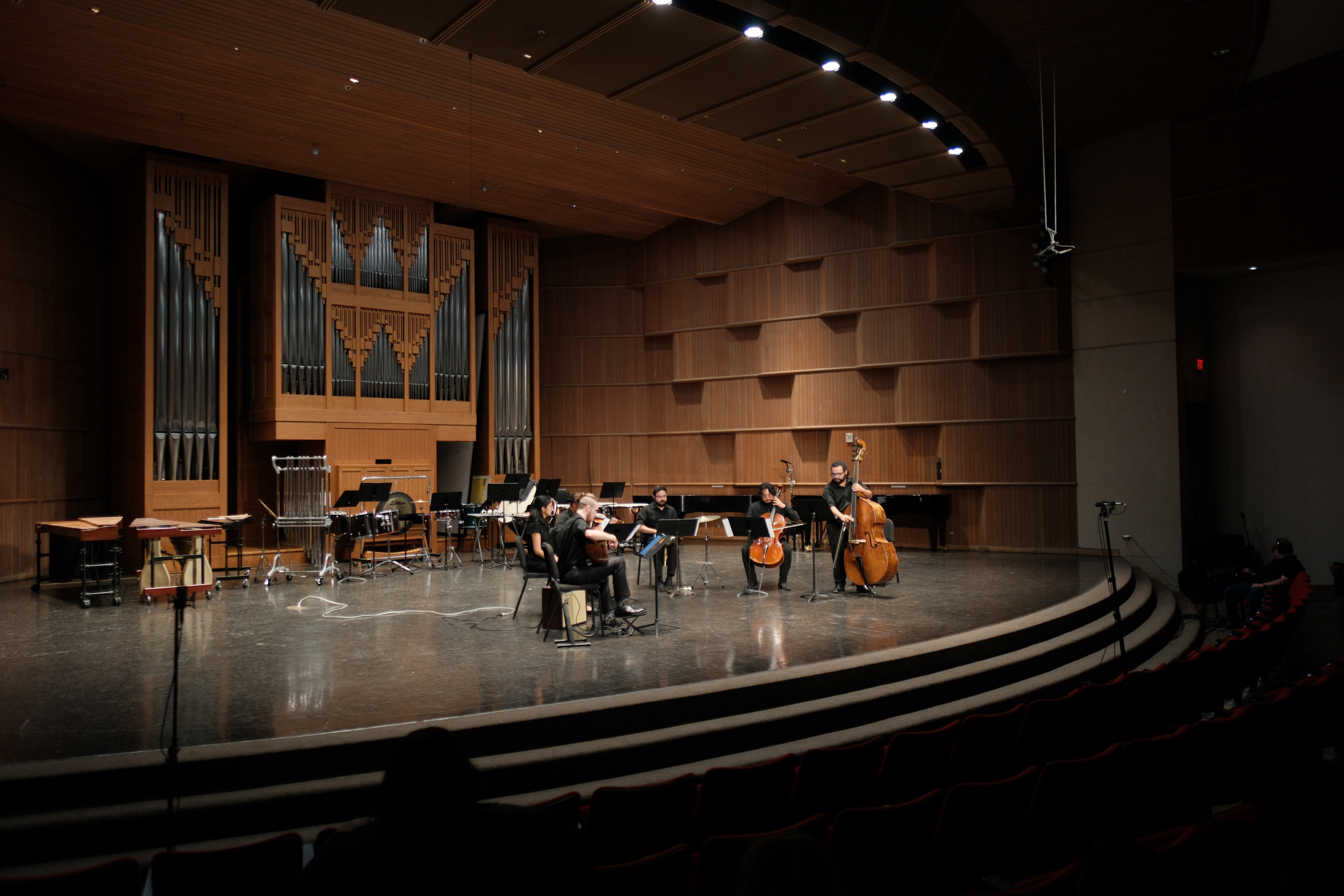 Wide shot of oud piece from senior composition recital