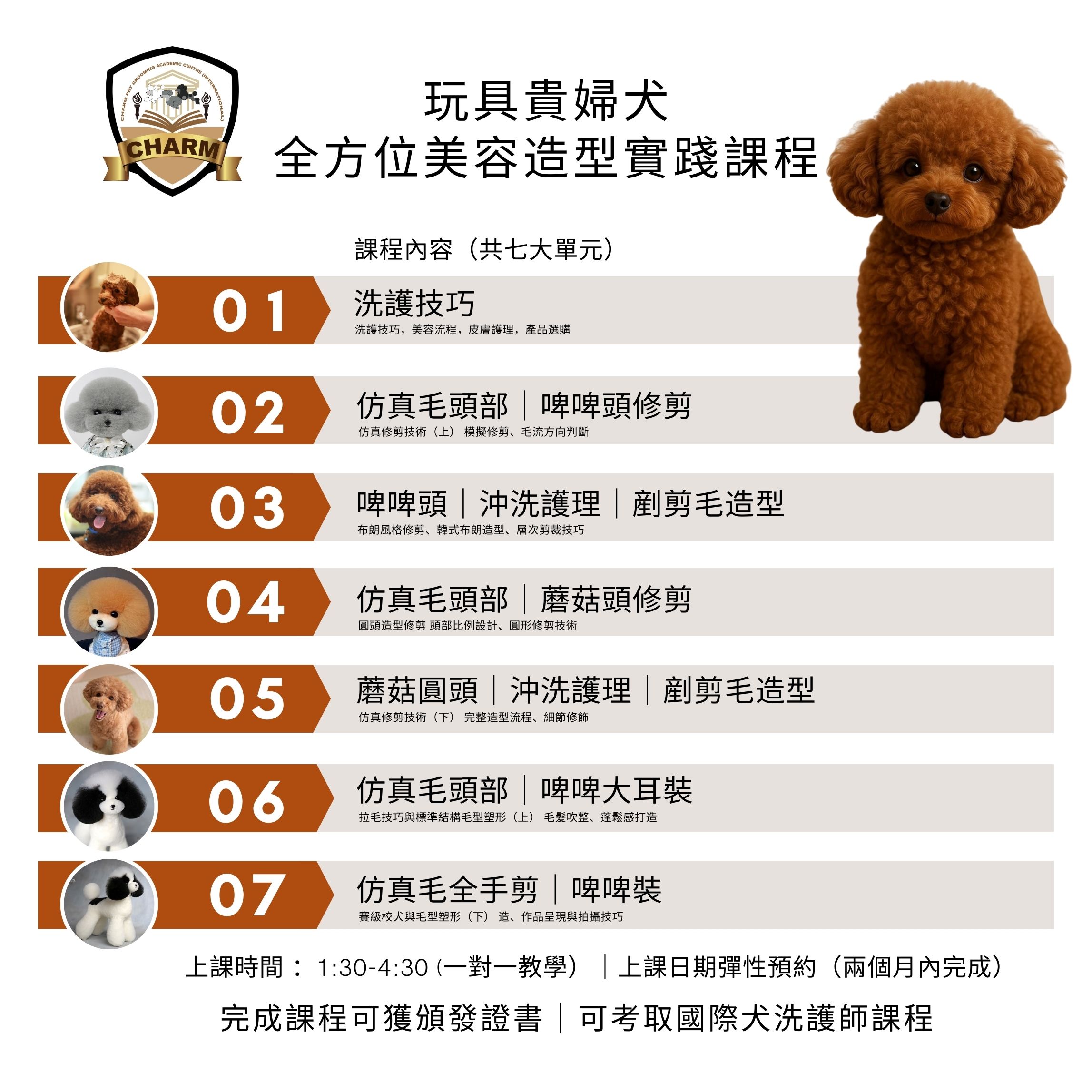 貴婦犬美容造型實踐課程示範