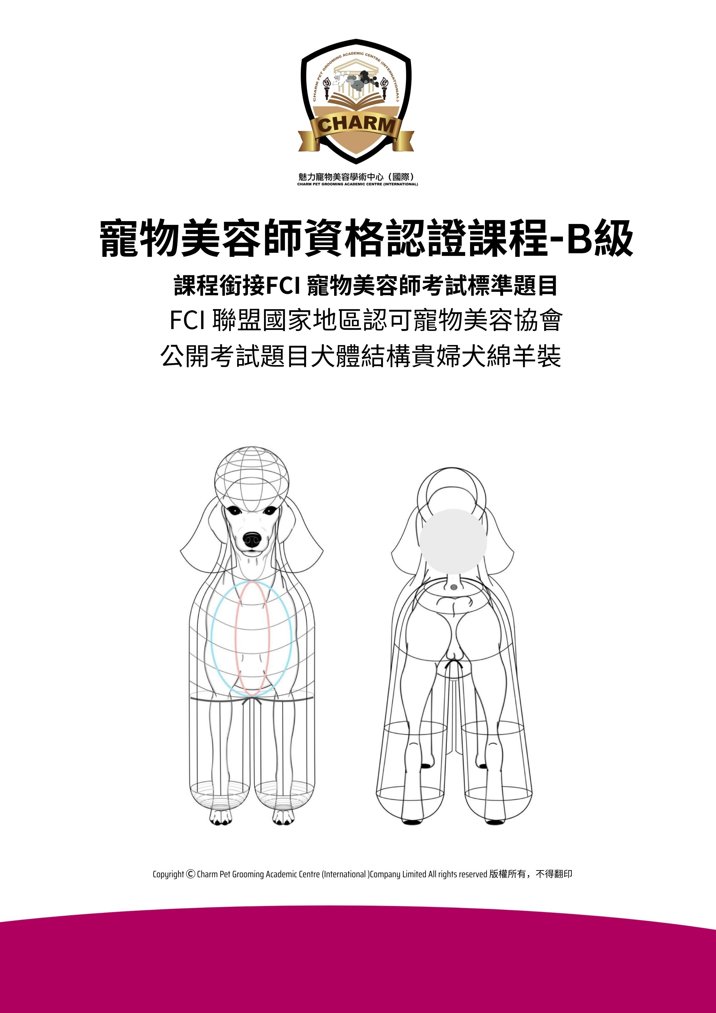 B級寵物美容師課程 - 貴婦犬綿羊裝示範