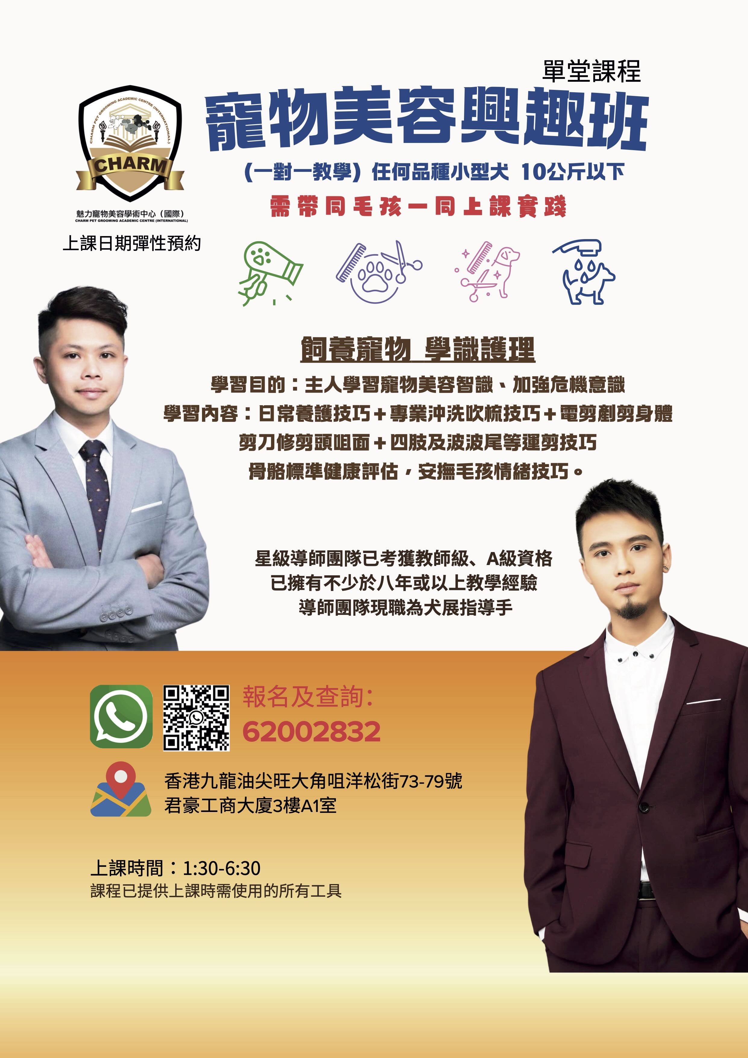 寵物美容沖剪造型興趣班