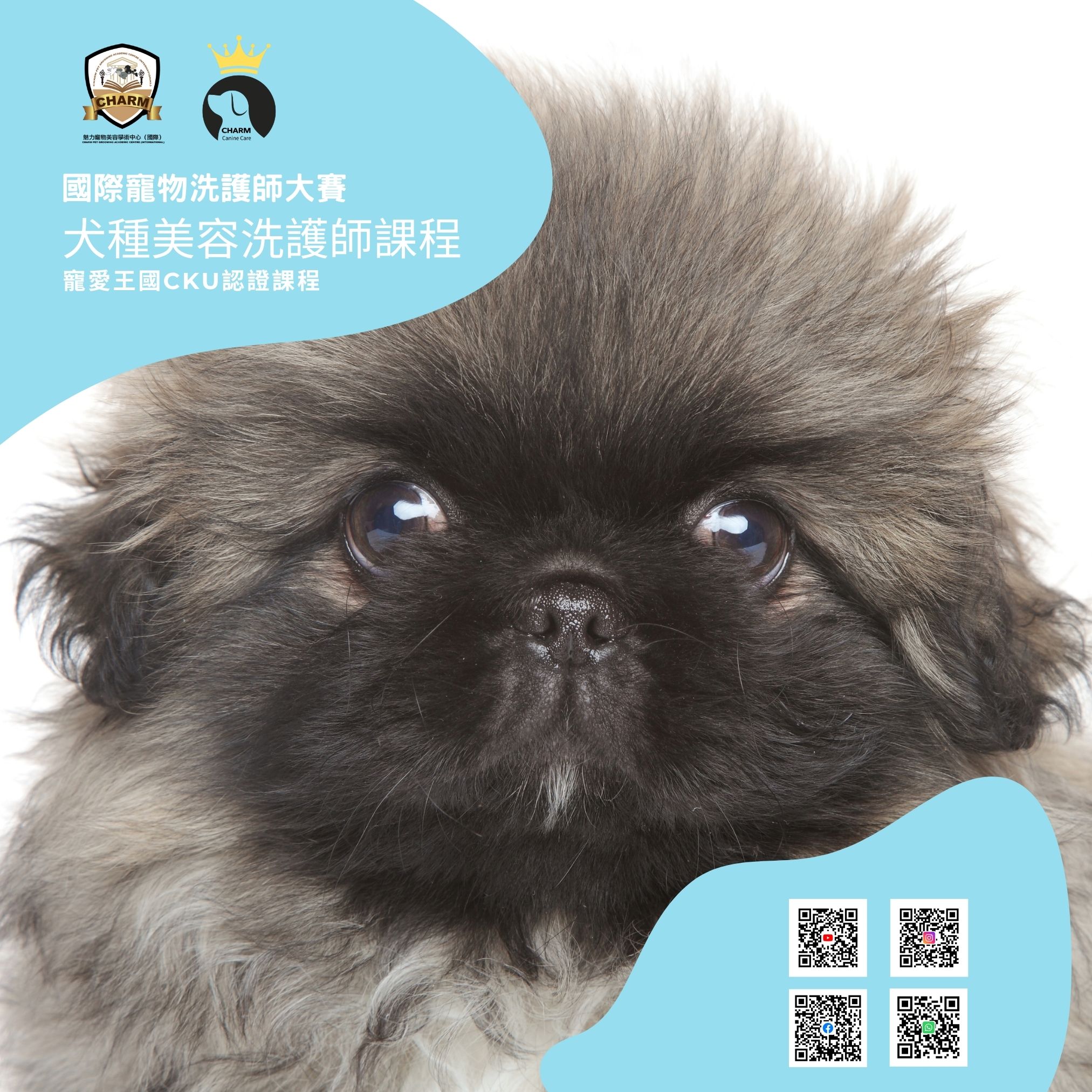 洗護師課程照片4