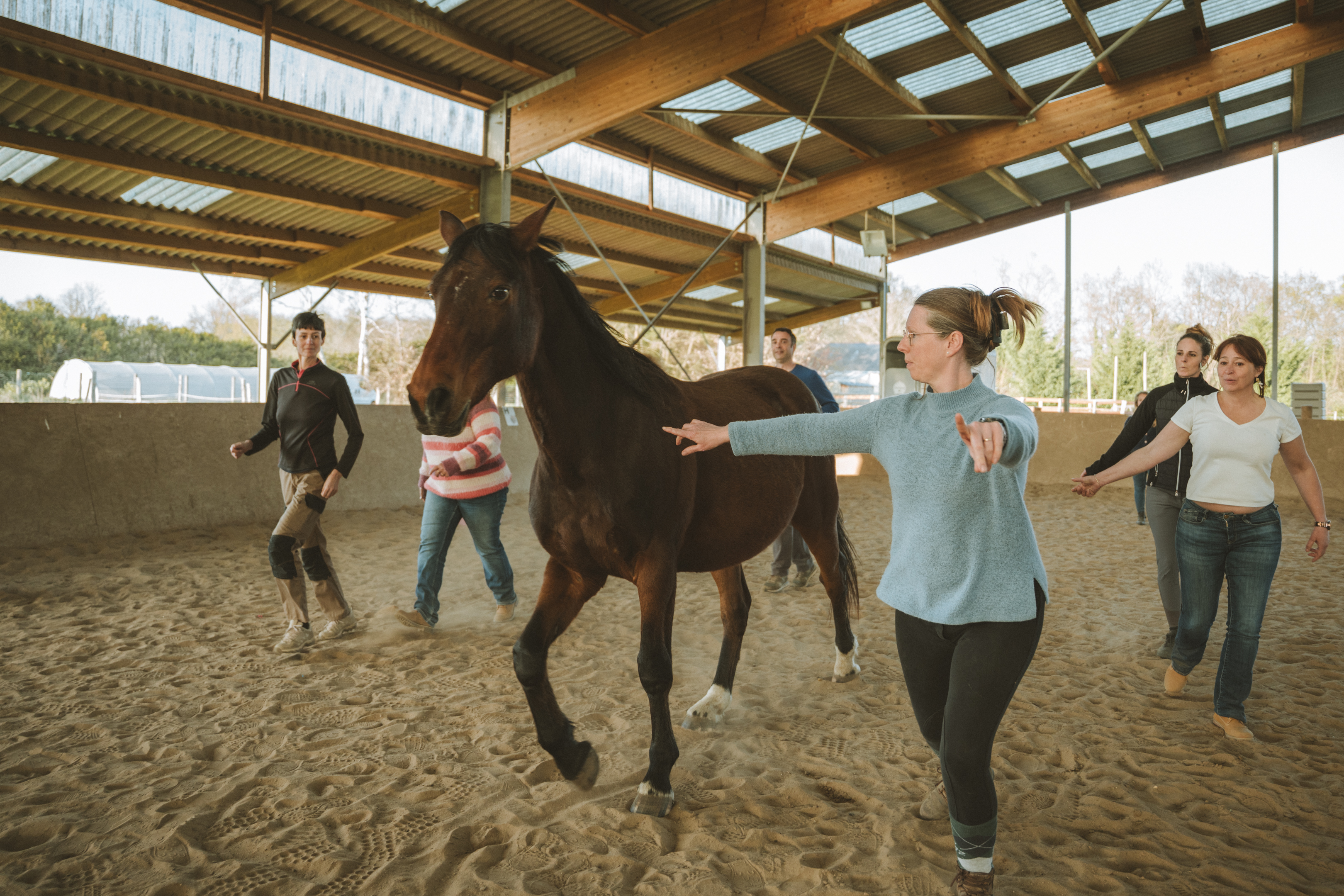 Cheval Horse Leadership