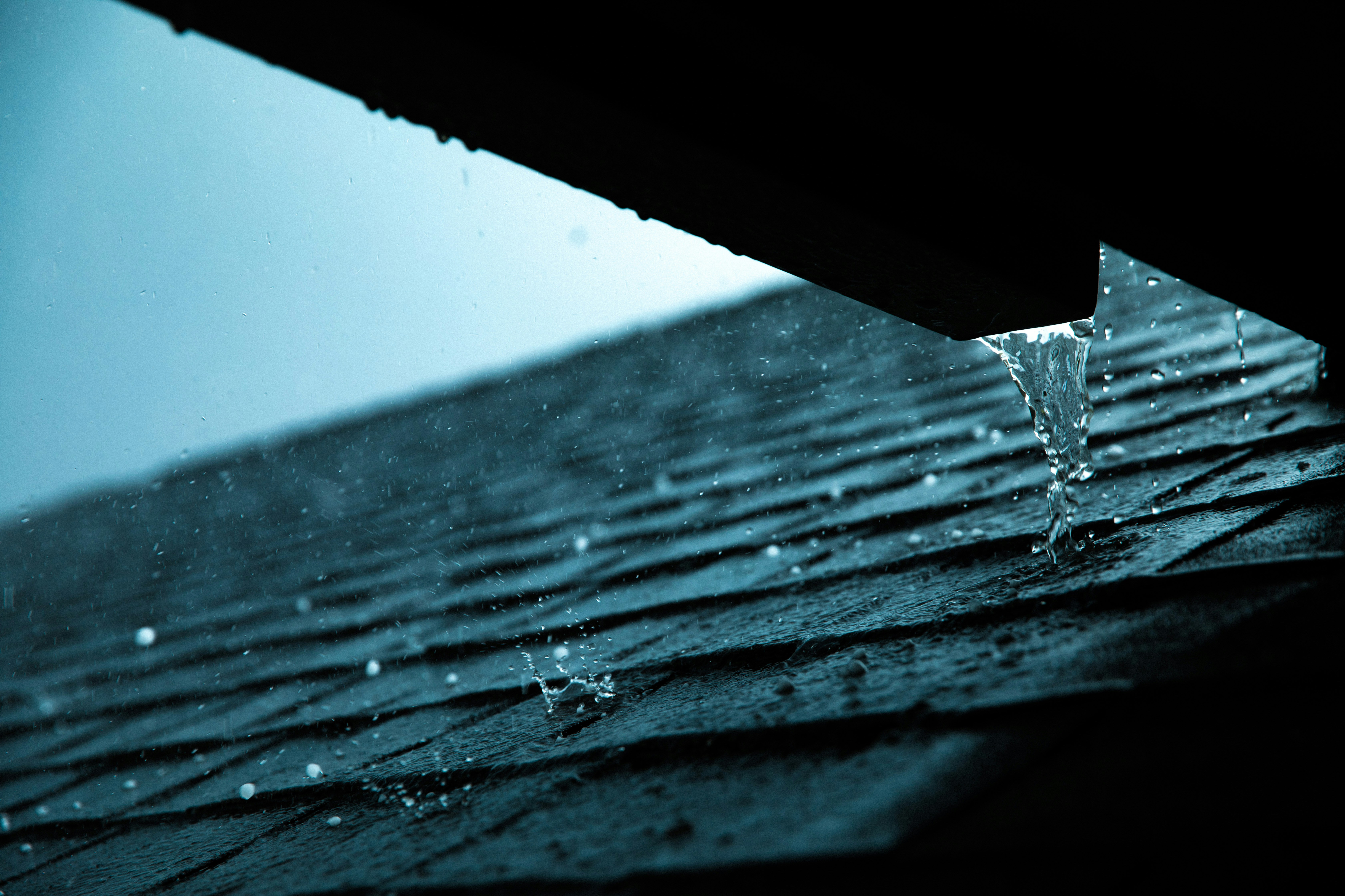 Shingle roof