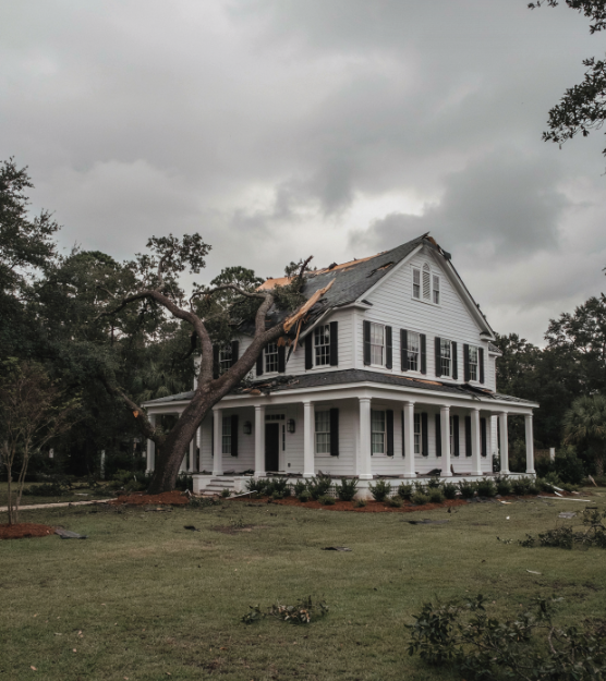 Storm-damaged shingle roof with fallen branch and debris, Beaufort SC