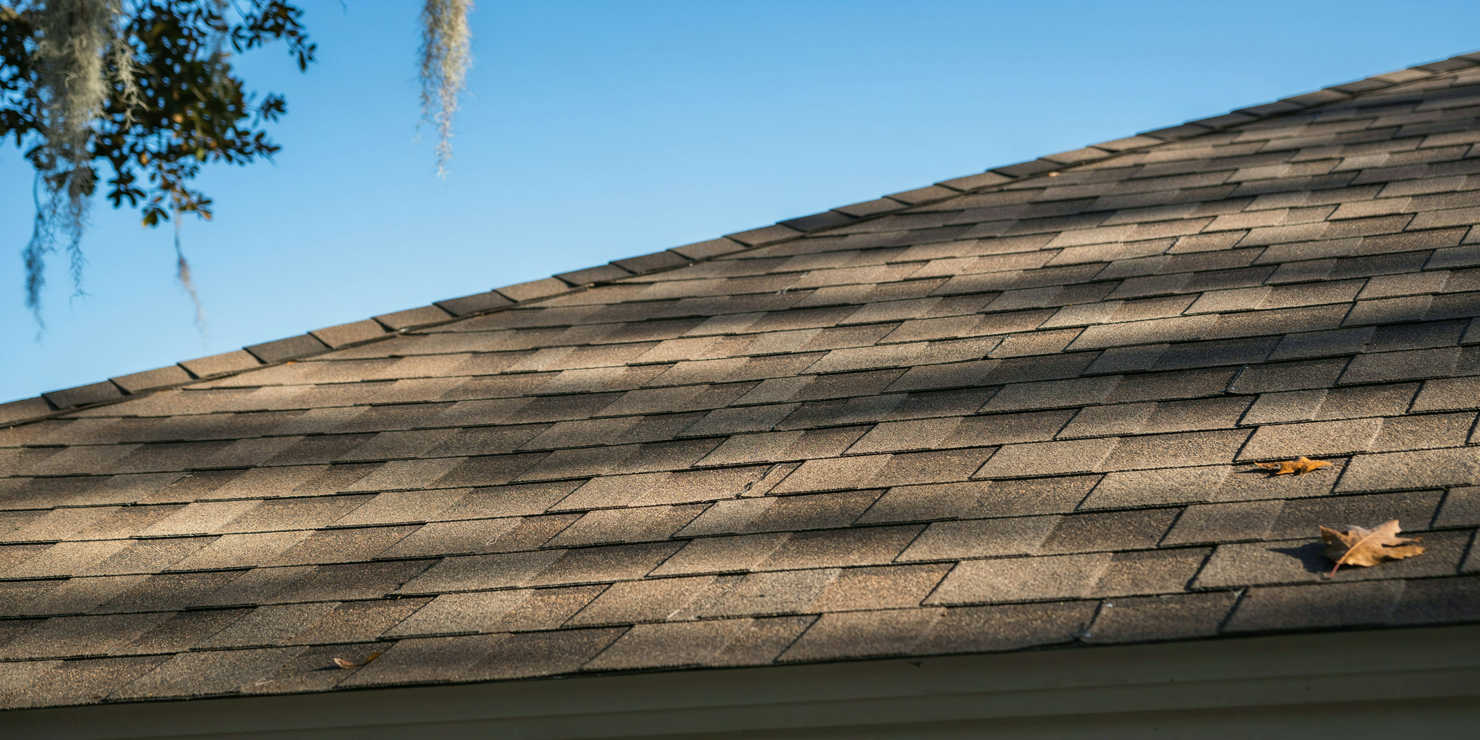 Clean new shingles