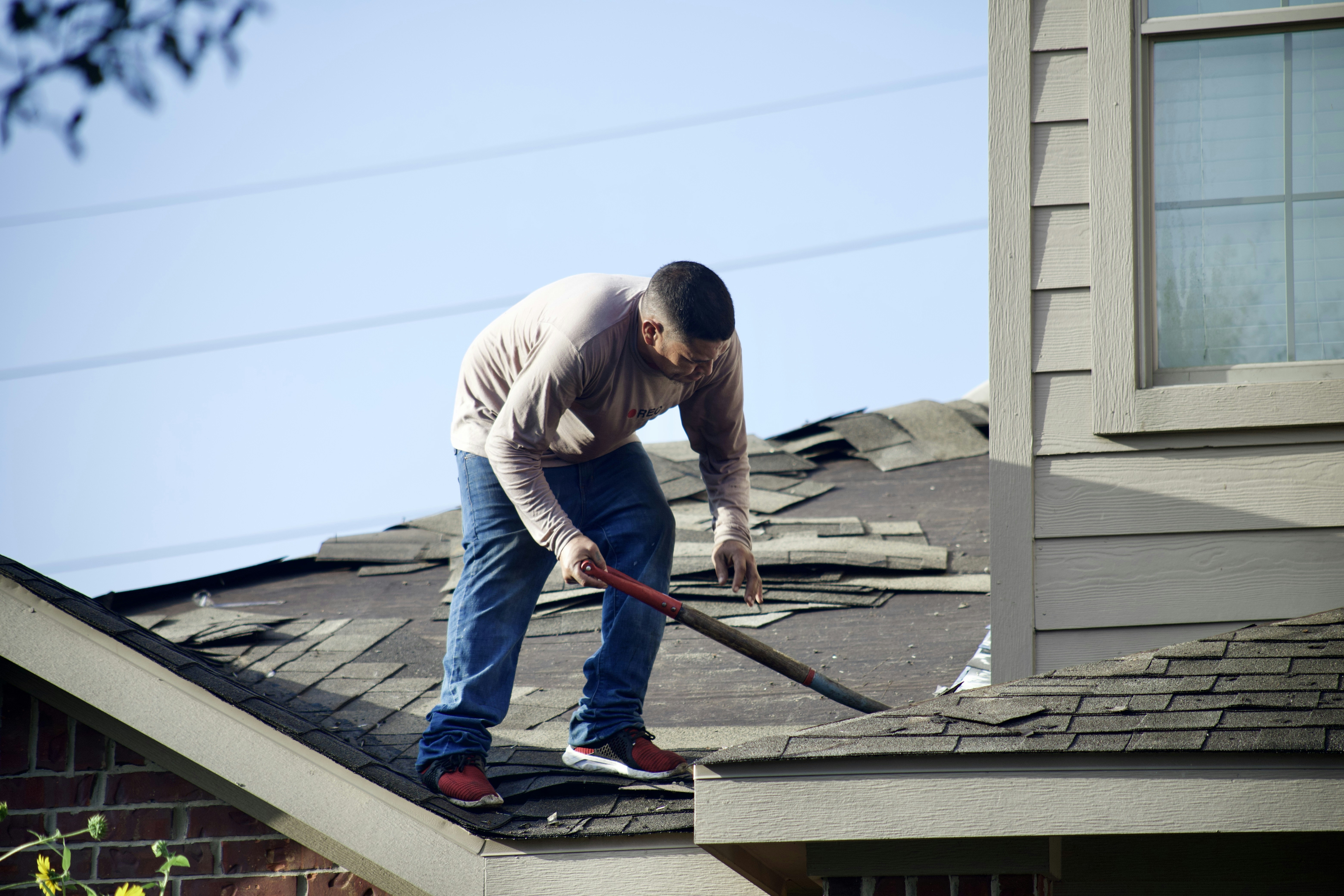 Shingle roof