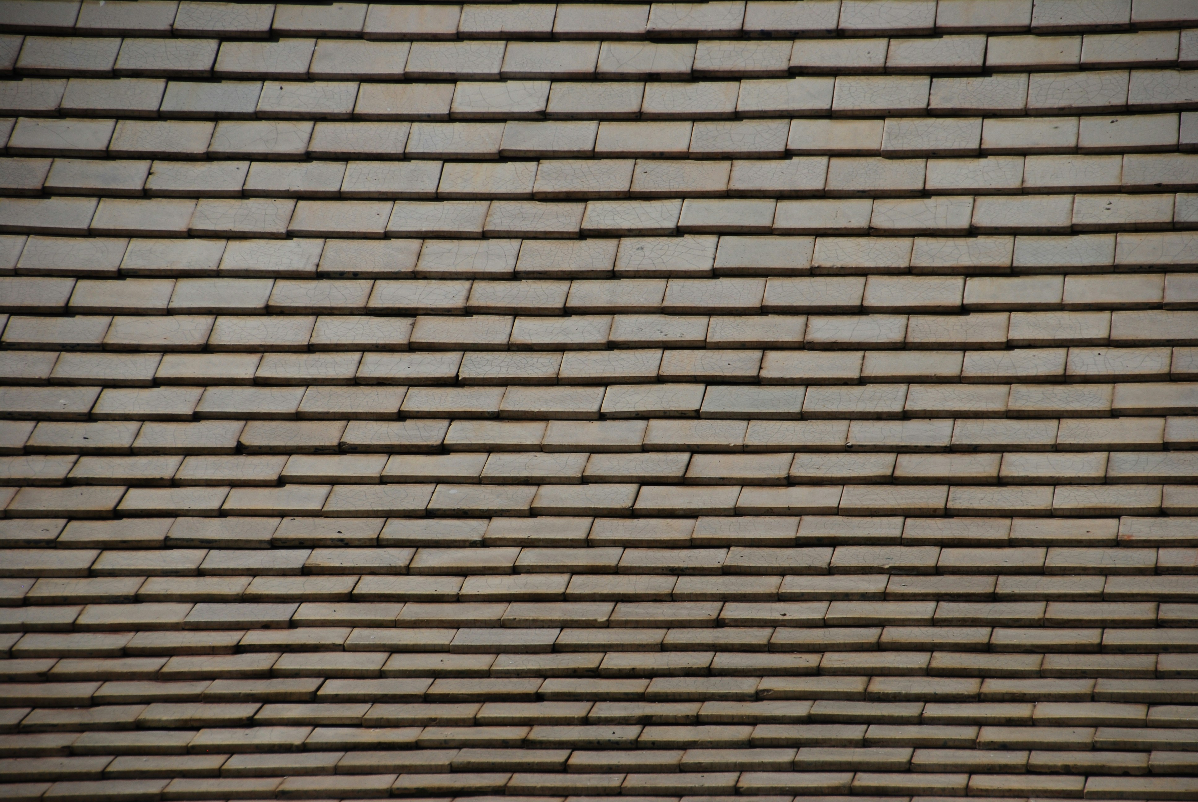 Shingle roof