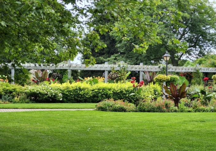 Weed control treatments for healthy lawns in Hennepin County