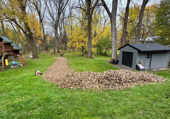 Spring and fall yard cleanup services in St Michael and Otsego