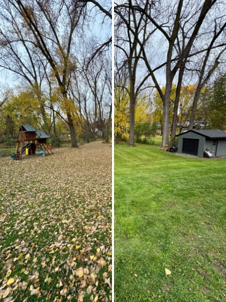 Seasonal yard cleanup project in St Michael Minnesota