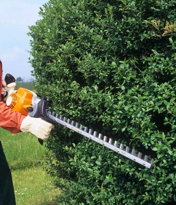 Small shrub and hedge trimming services in Rogers and St Michael