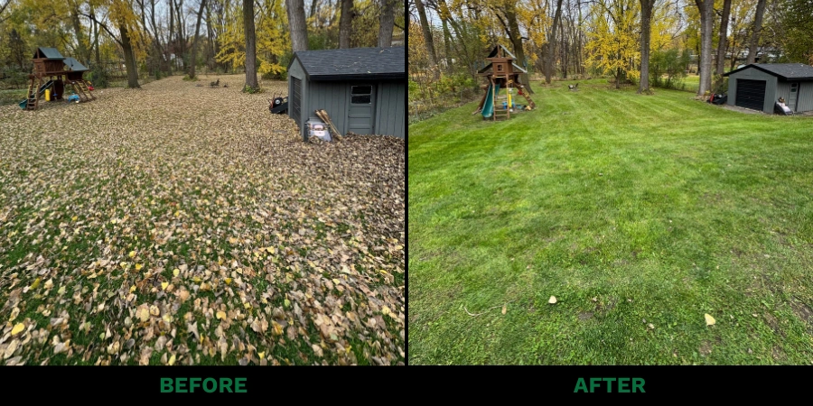 Full property maintenance services