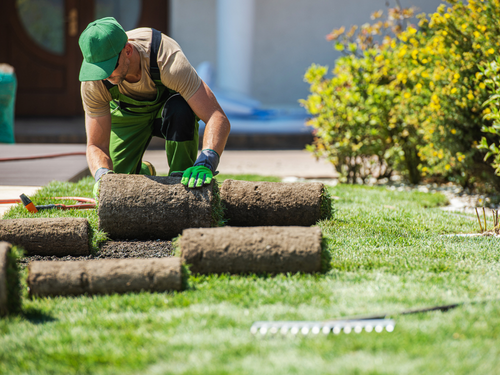 {{ custom_values.service_1 }} in {{custom_values.biz_area_1})