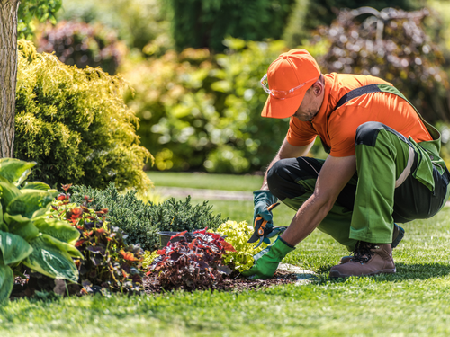 Plant Planting in Miami