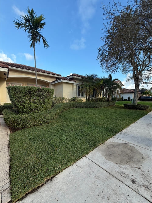 Sprinkler Systems Miami