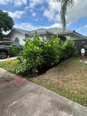 Sod Replacement Miami