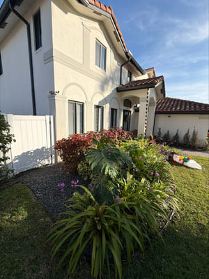 Plant Planting Miami