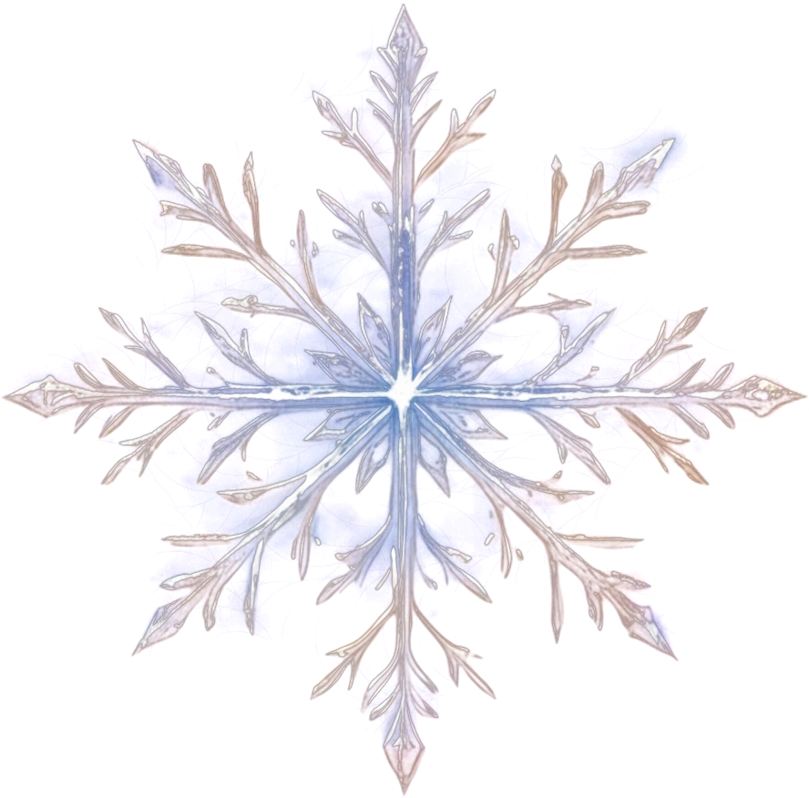 Snowflake icon