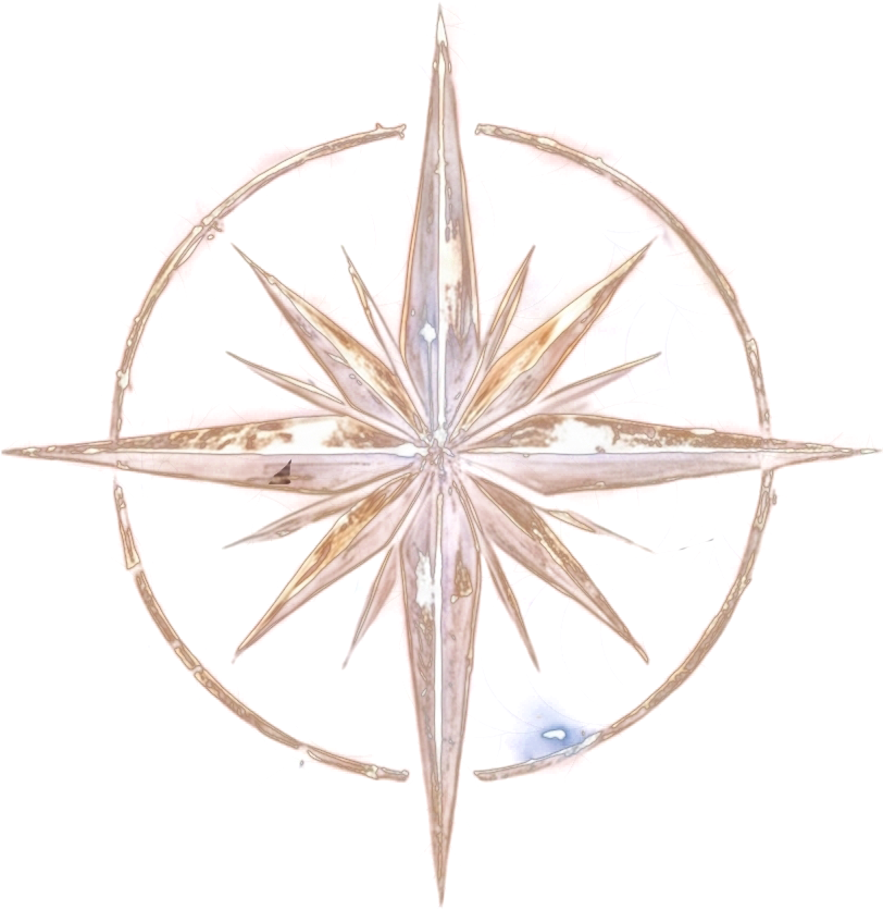 Compass icon
