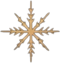 Compass star icon