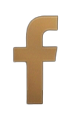Compass star icon