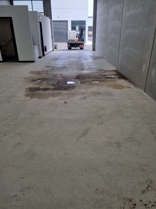 Clean-ups Adelaide CBD & North Adelaide