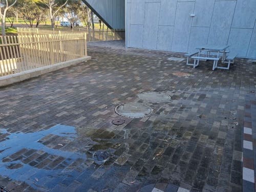 Pigeon Waste Removal Adelaide CBD & North Adelaide