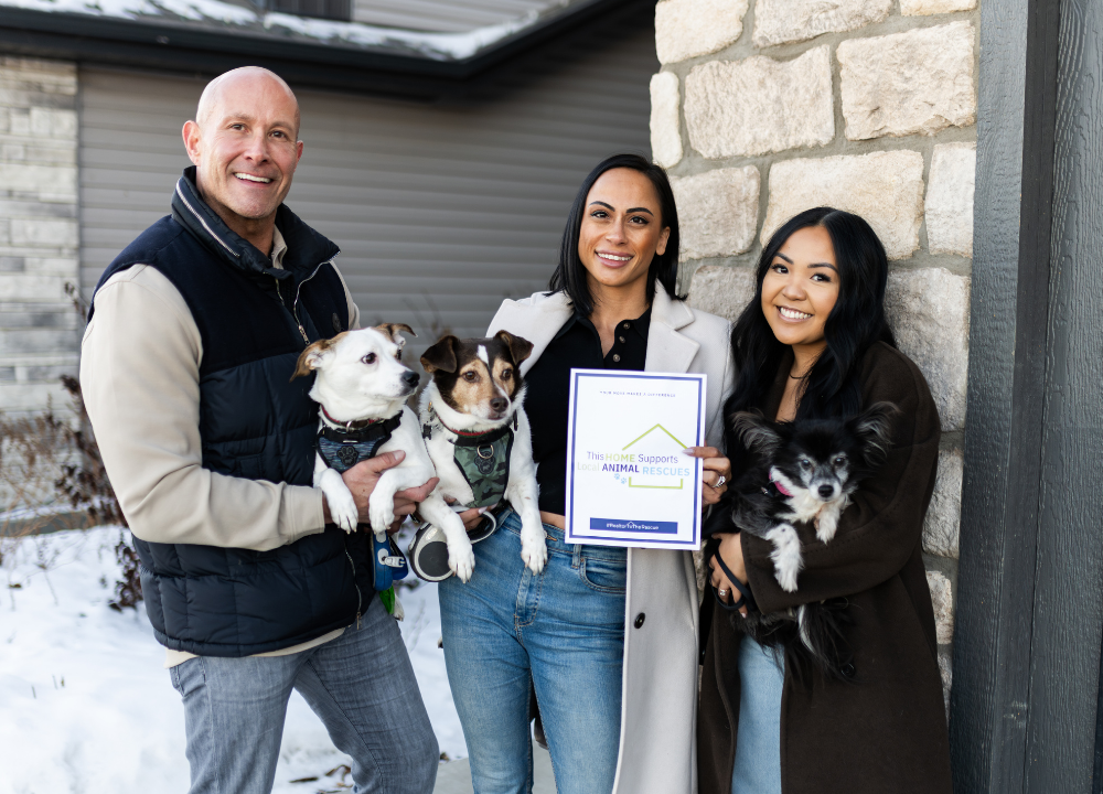 Edmonton Spring Thaw Tips for Dog Owners