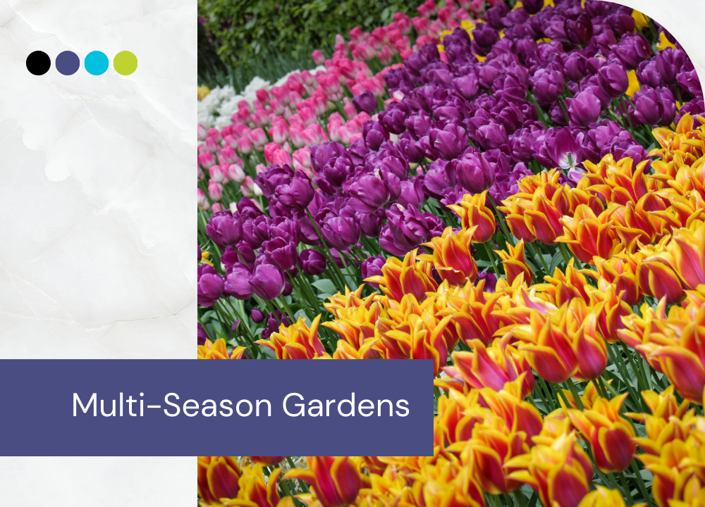Multi-Season Gardens