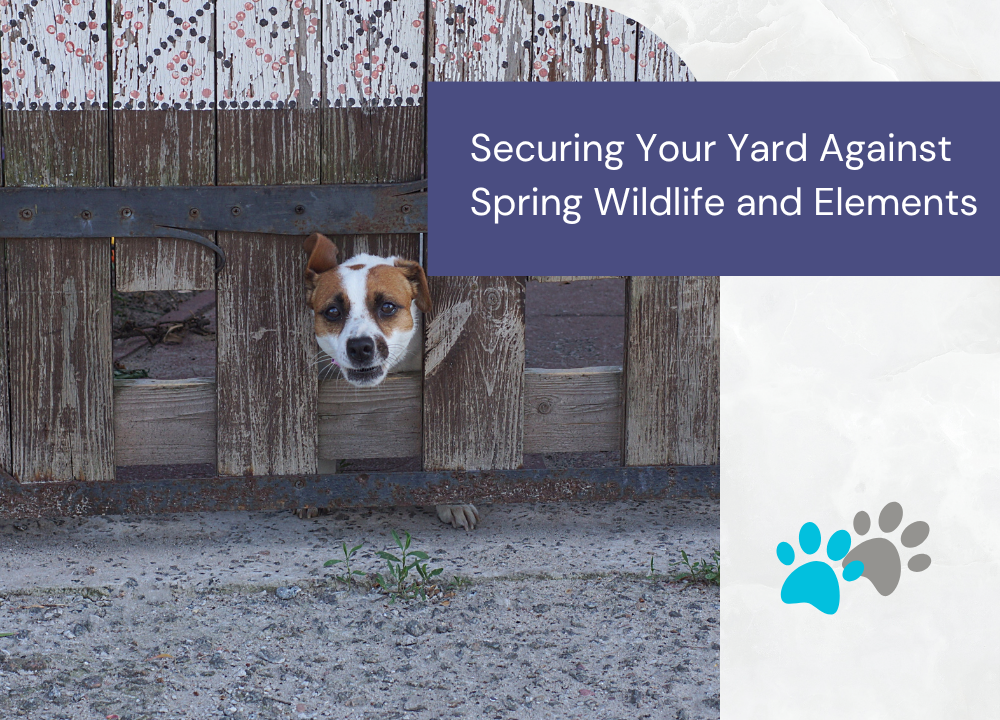 Dog Fencing in Edmonton